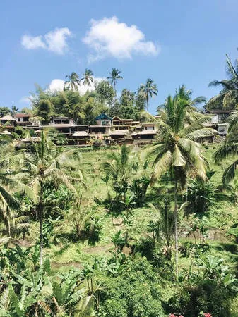Ảnh đẹp Bali 2