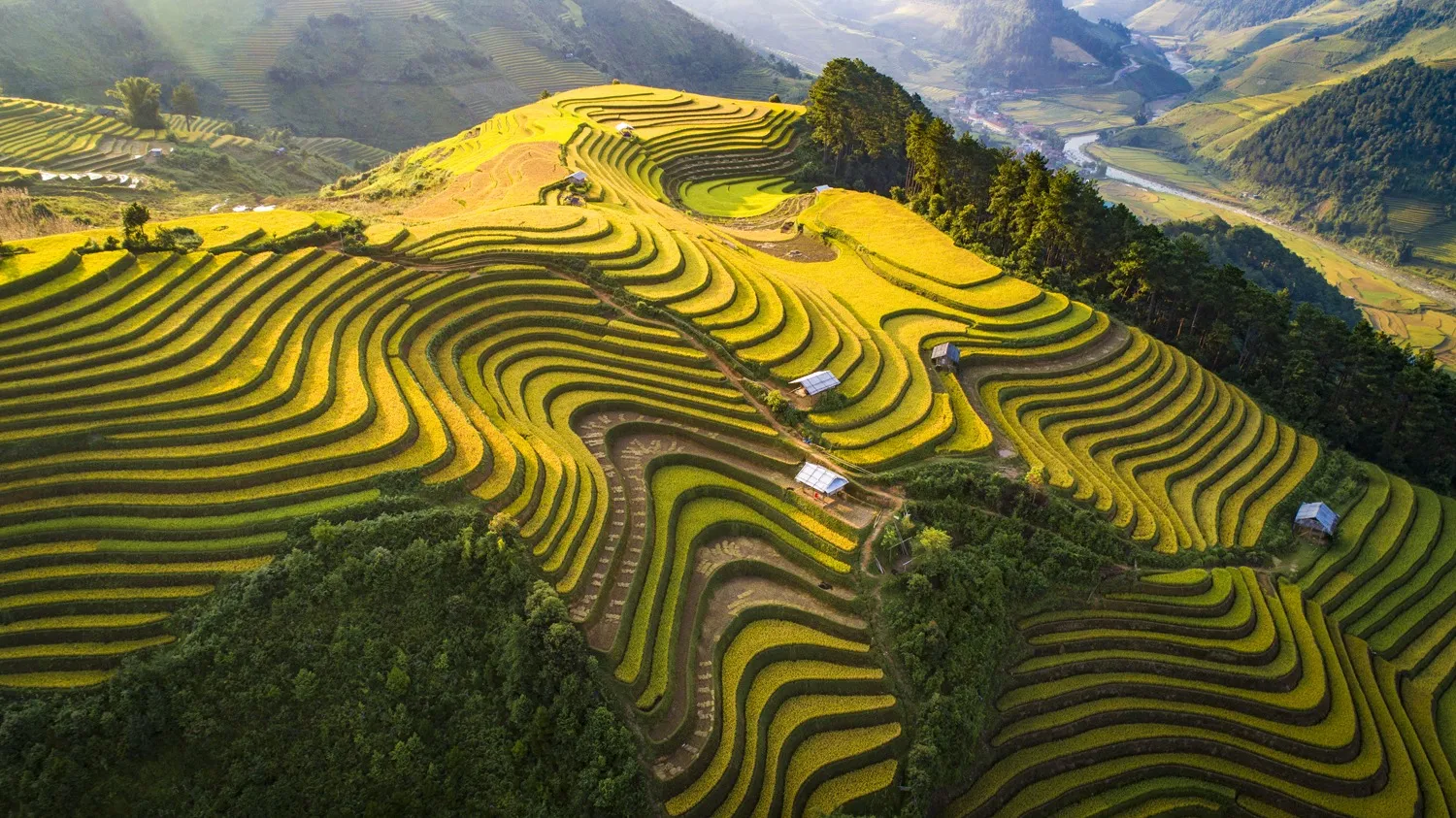 Ảnh: Tú Lệ. Nguồn: Nguyễn Đức Tuệ