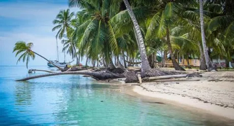 Bãi biển Guna Yala với cát trắng và nước biển trong xanh. Ảnh: BBC.