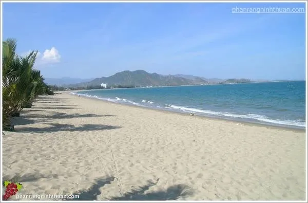 Bãi biển Ninh Chữ