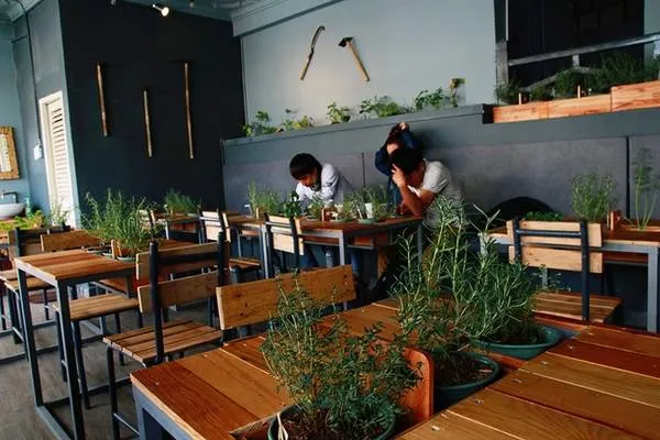 Bàn ghế gỗ kết hợp với chậu cây nhỏ tạo nên không gian sang trọng, ấm cúng.