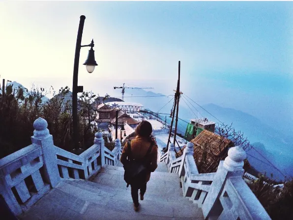 Bản làng Sapa mờ sương. Ảnh: @zinyminn