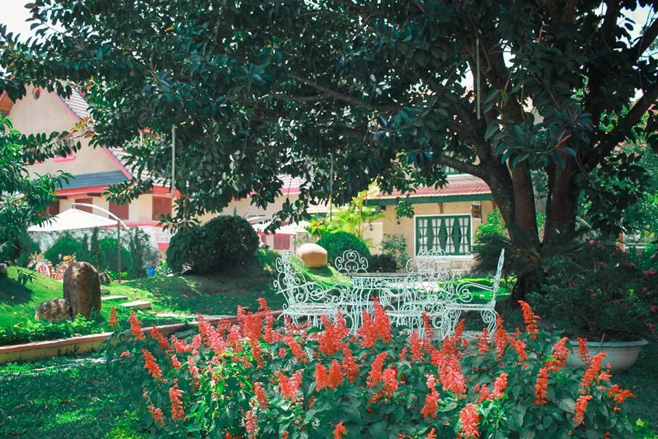Bể bơi Tea Resort Đà Lạt