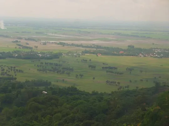benh-bong-tren-may-den-voi-da-lat-cua-mien-tay-ivivu-2