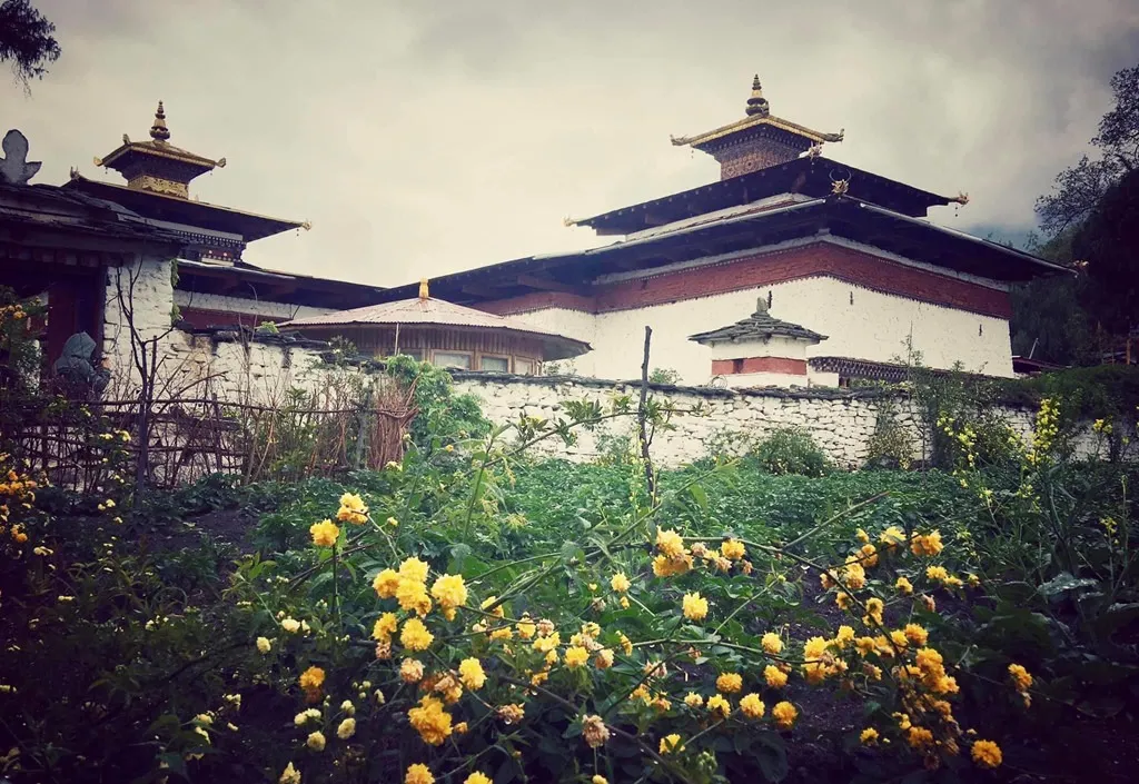 Bhutan là quốc gia duy nhất trên thế giới có lượng khí thải carbon âm, nhờ vào việc bảo vệ rừng và sử dụng năng lượng tái tạo.