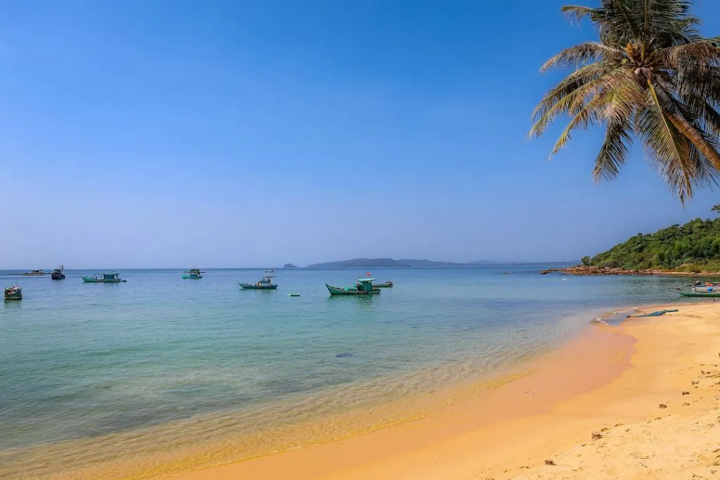 Biển trong xanh ở Mũi Gành Dầu. Alt: Bãi biển Mũi Gành Dầu với nước biển trong xanh, cát trắng mịn màng và những hàng cây xanh rì tạo nên khung cảnh yên bình, thư thái.