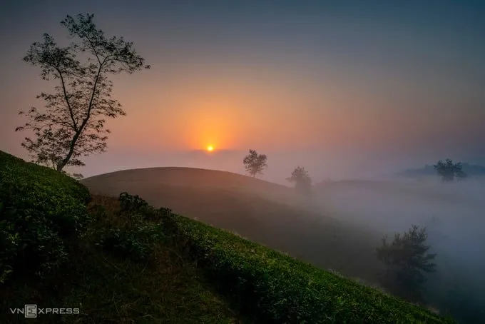 Bình minh trên đồi chè Long Cốc. Sương sớm giăng mắc tạo nên khung cảnh mờ ảo, thơ mộng.
