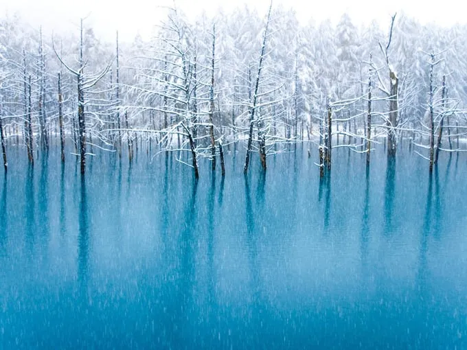 Blue Pond