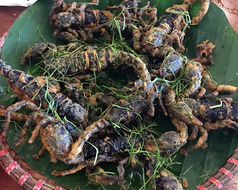 Bò cạp chiên