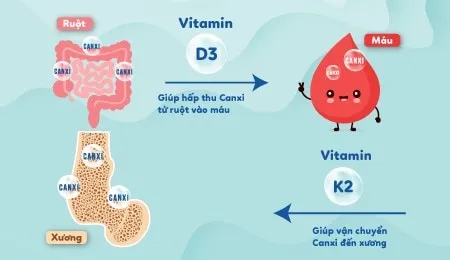 Bổ sung Vitamin D3K2 cho bé