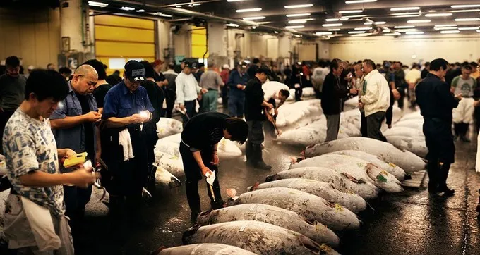 Cá là món ăn không thể thiếu trong bữa ăn của người Nhật.