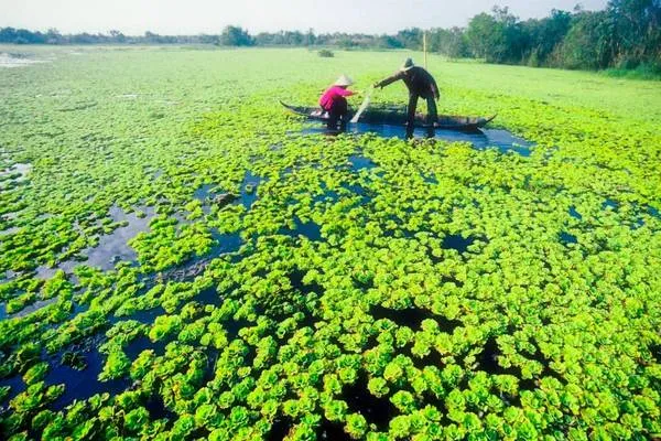 Cà Mau mảnh đất ấm áp tình người. Ảnh: camau.gov.vn