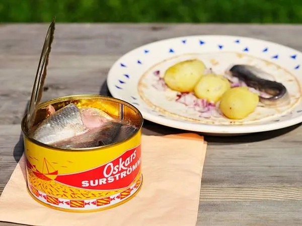 Cá trích thối Surströmming