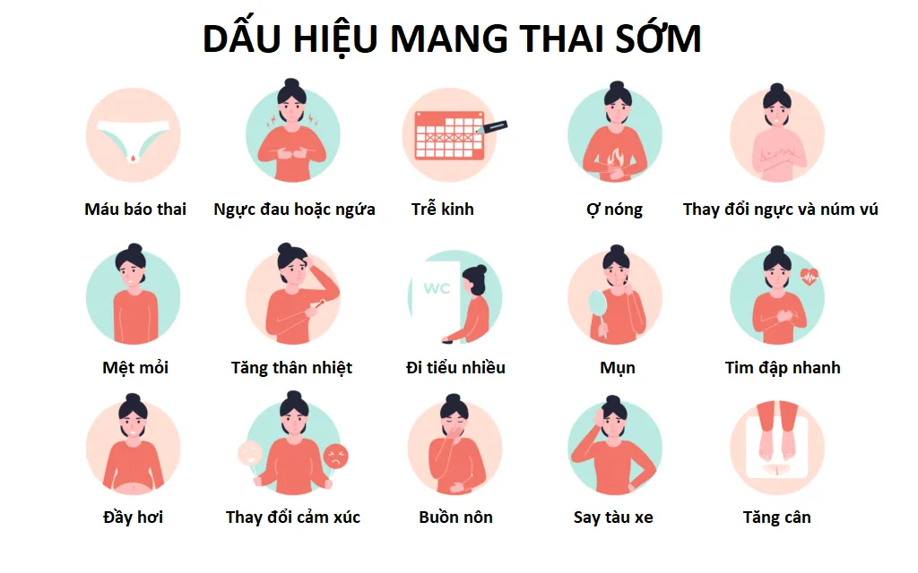 Các dấu hiệu mang thai sớm