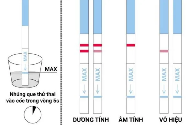 Cách đọc kết quả que thử thai