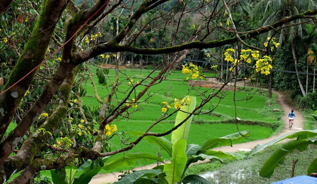 Cảnh đẹp Tiên Phước, Quảng Nam