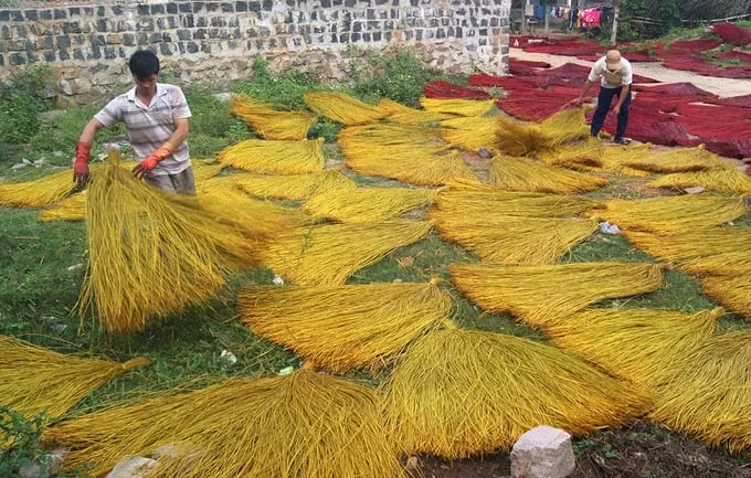 Cánh đồng cói rộng lớn cung cấp nguyên liệu cho làng nghề.