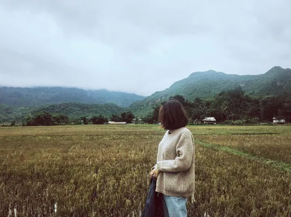 Cánh đồng lúa Mai Châu. Ảnh: @khanhphuongchu