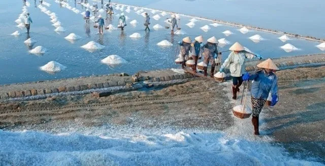 Cánh đồng muối Hòn Khói trắng muốt dưới ánh nắng