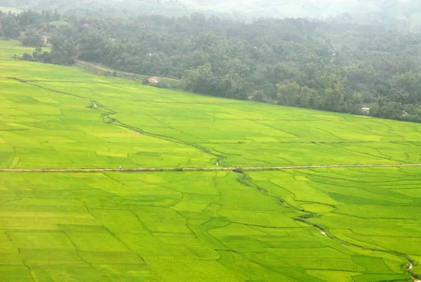 Cánh đồng Mường Thanh