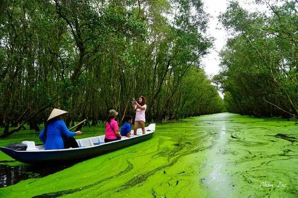 Cảnh hoàng hôn buông xuống trên rừng tràm Trà Sư, An Giang, một vẻ đẹp thơ mộng và hữu tình.