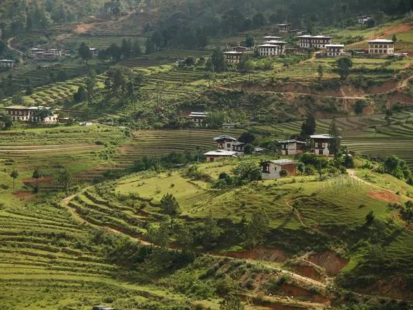 Cảnh quan Bhutan nhìn từ trên cao với những thửa ruộng bậc thang và đồi núi trùng trùng điệp điệp.