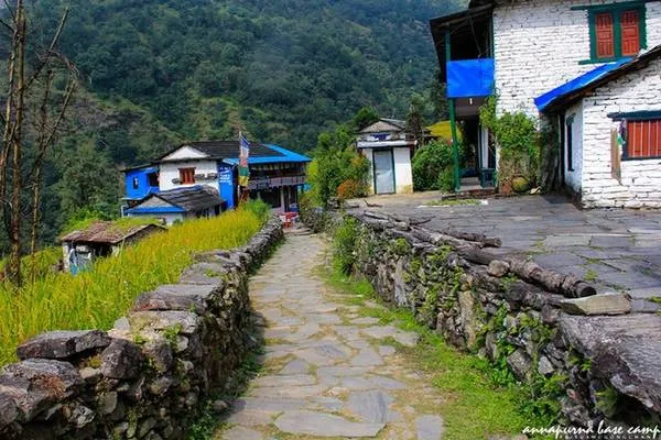 Cảnh quan hùng vĩ trên đường trekking Annapurna Base Camp.