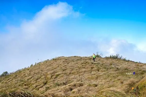 Cảnh quan hùng vĩ trên đường trekking đỉnh Lùng Cúng