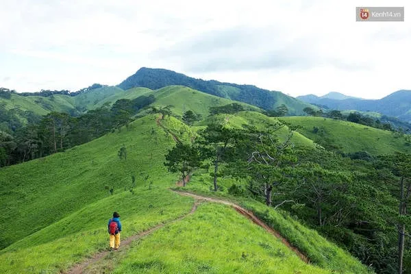 Cảnh quan hùng vĩ trên đường trekking Tà Năng - Phan Dũng