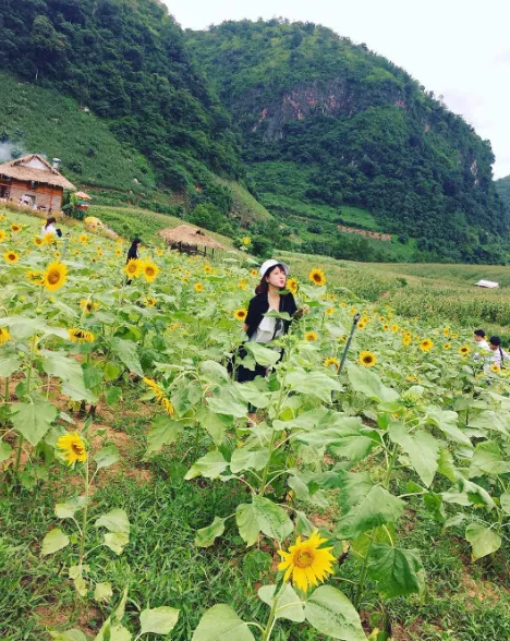 Cảnh quan Mộc Châu Happy Land nhìn từ xa