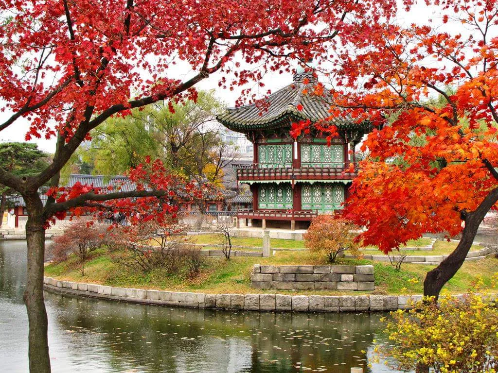 Cảnh quan mùa thu rực rỡ tại cung điện Gyeongbokgung