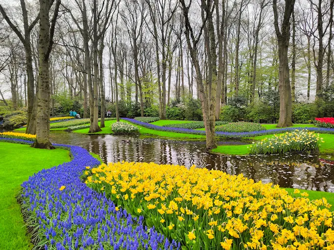 Cảnh quan tuyệt đẹp tại vườn hoa Keukenhof, Hà Lan