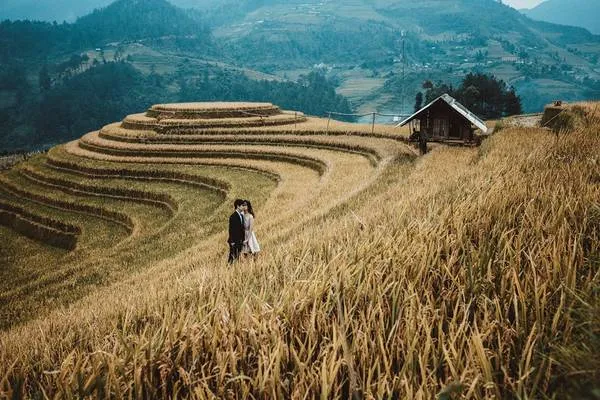 Cặp đôi chụp ảnh cưới tại Mù Cang Chải, Yên Bái