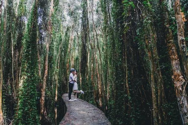 Cặp đôi chụp ảnh cưới tại rừng tràm Tân Lập, Long An