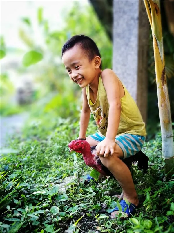 Cậu bé Hiếu chơi cùng gà chọi