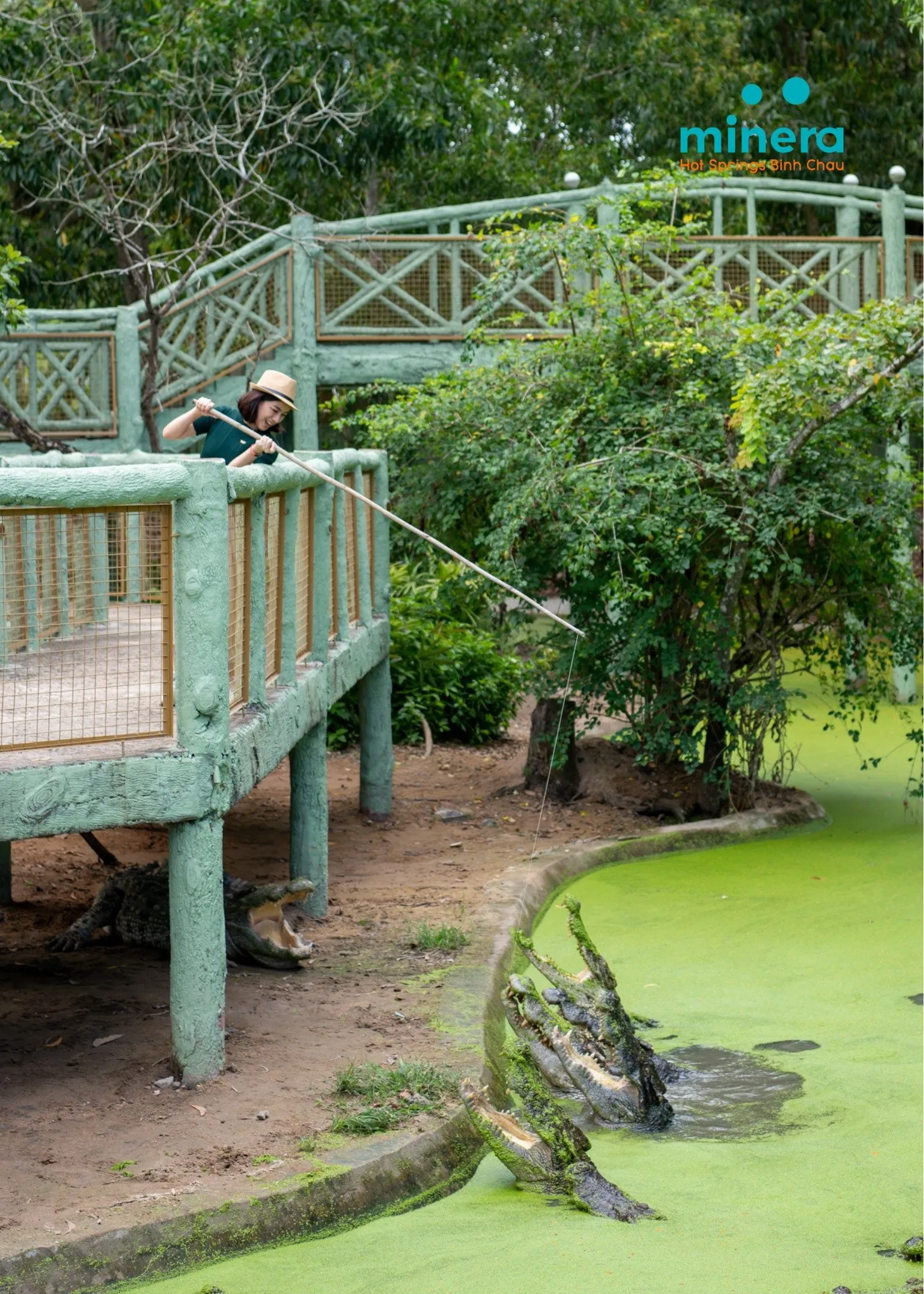 Câu cá sấu tại Minera Hot Springs Bình Châu