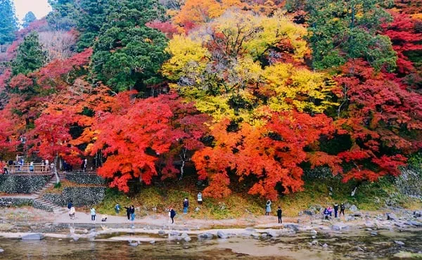 Cầu Taigetsukyo - biểu tượng của thung lũng Korankei