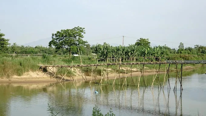 Cầu tre Cẩm Đồng sau cơn lũ