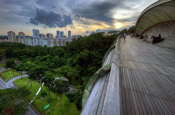 Cây cầu Henderson Waves uốn lượn trên không