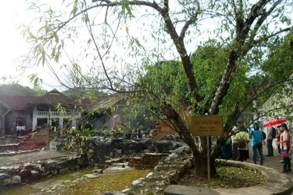 Cây đào Tô Hiệu trong nhà tù Sơn La