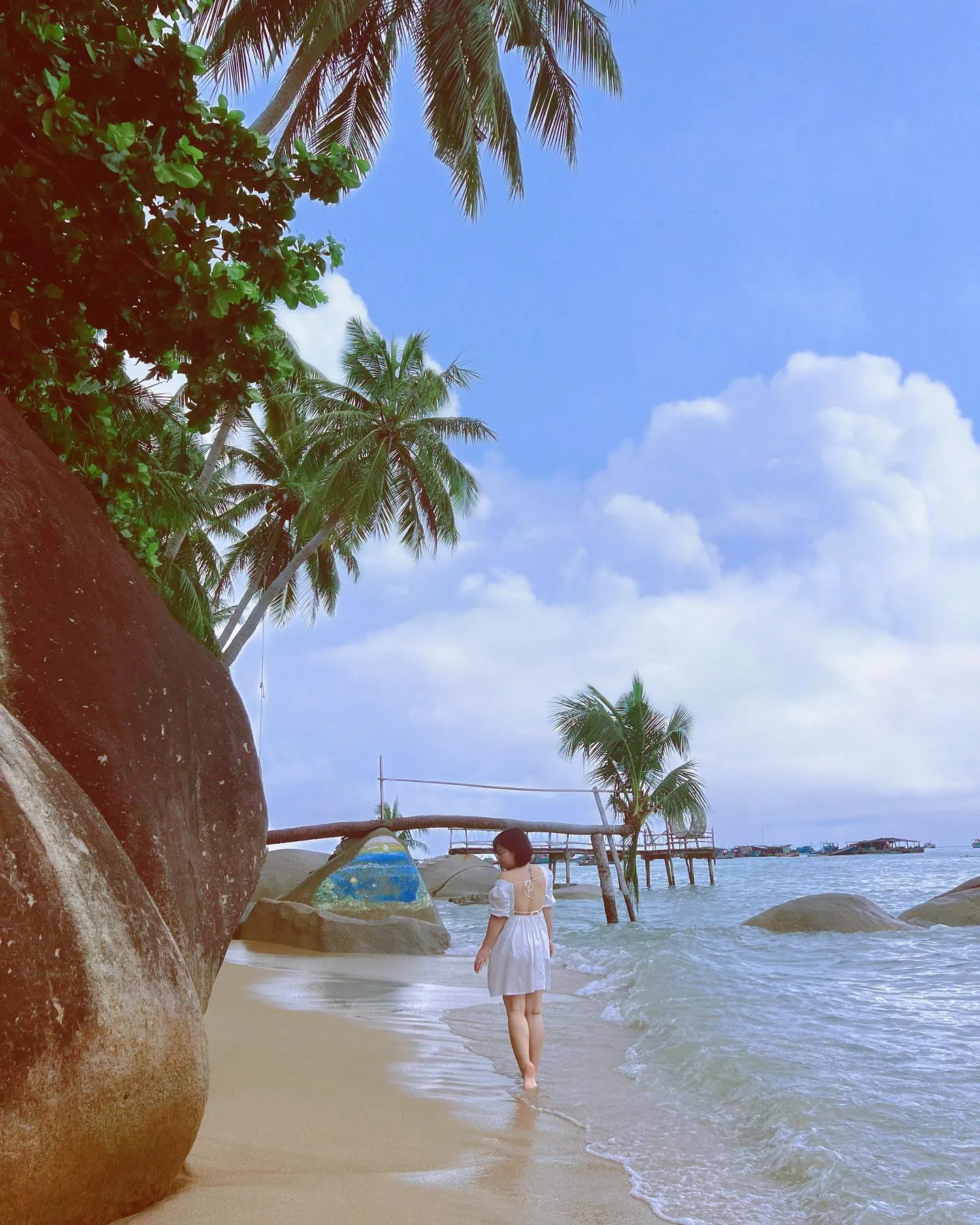 Cây dừa nghiêng Bãi Bàng