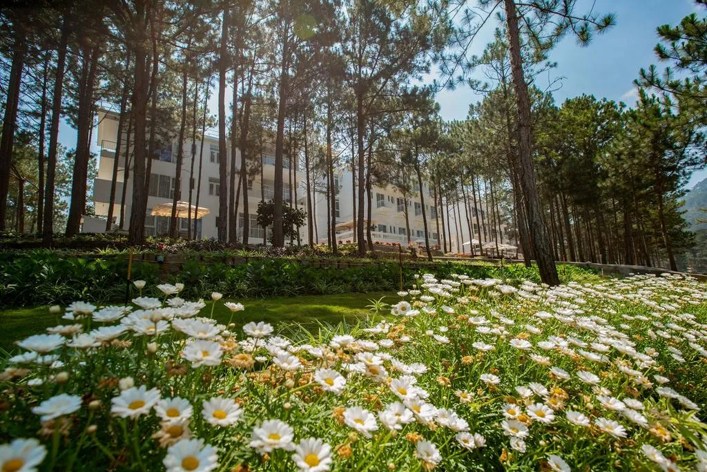 Cereja Hotel &amp; Resort Đà Lạt - Hồ bơi