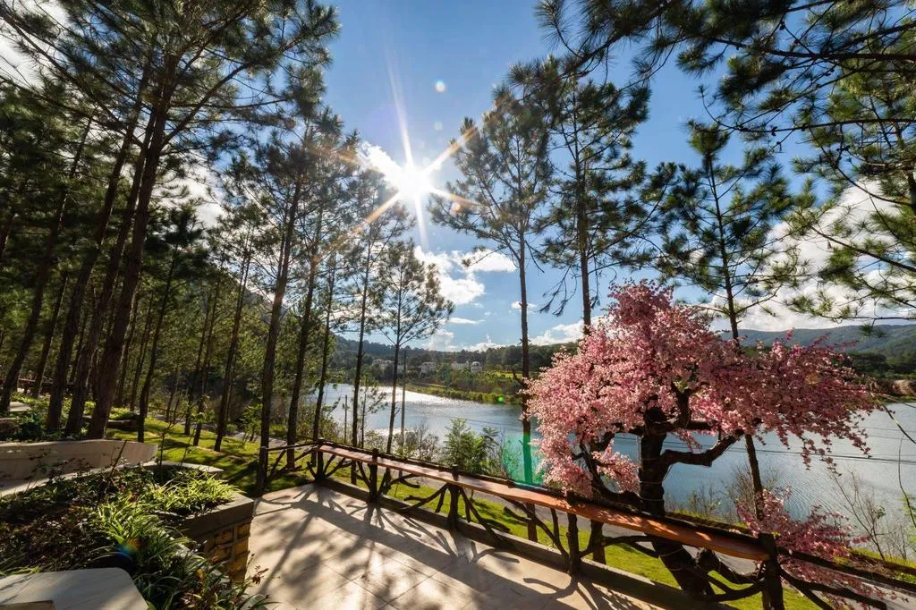 Cereja Hotel &amp; Resort Đà Lạt - Khung cảnh nên thơ
