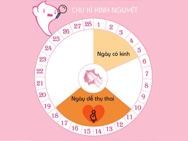 Chu kỳ kinh nguyệt