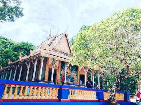 Chùa Dơi Sóc Trăng với hàng ngàn con dơi treo mình trên cây.
