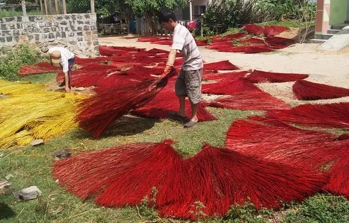 Cói được phơi dưới ánh nắng mặt trời để có màu sắc đẹp.