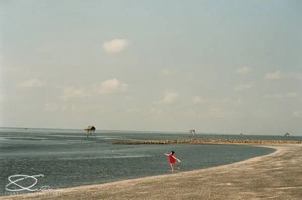 Con đê biển đảo Thạnh An