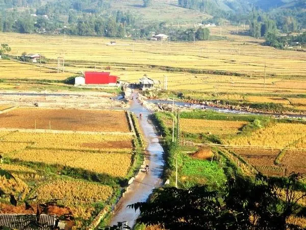Con đường dẫn vào bản Thái Tú Lệ đẹp nao lòng người.