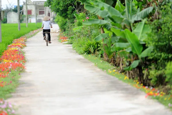 Con đường hoa mười giờ điểm đến lý tưởng