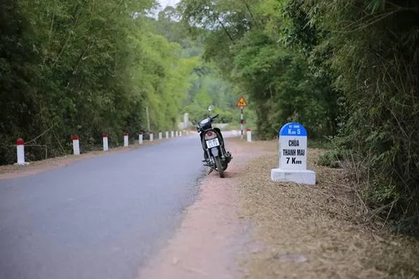 Con đường lên chùa Thanh Mai với hai bên là rừng phong. Ảnh: Chuồn chuồn Kym.